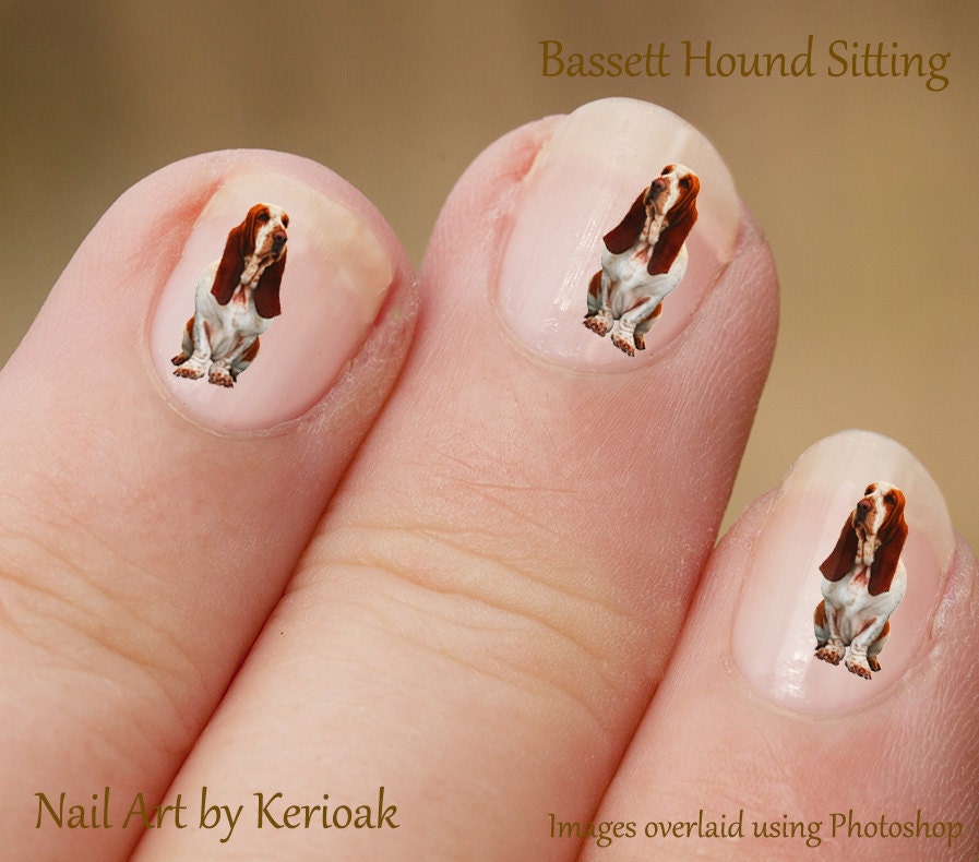 Sitting Basset Hound Nail Art Stickers Sitting basset Basset