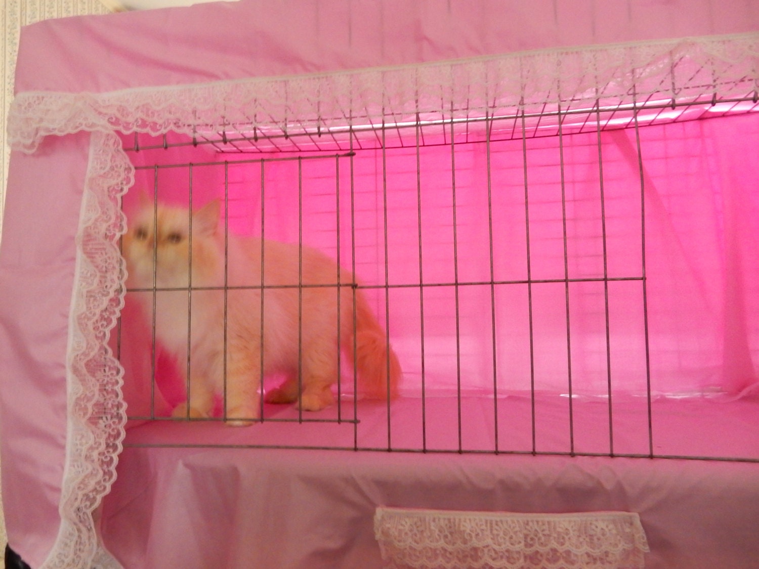 cat show cage curtains show shelter cage curtains blue or pink