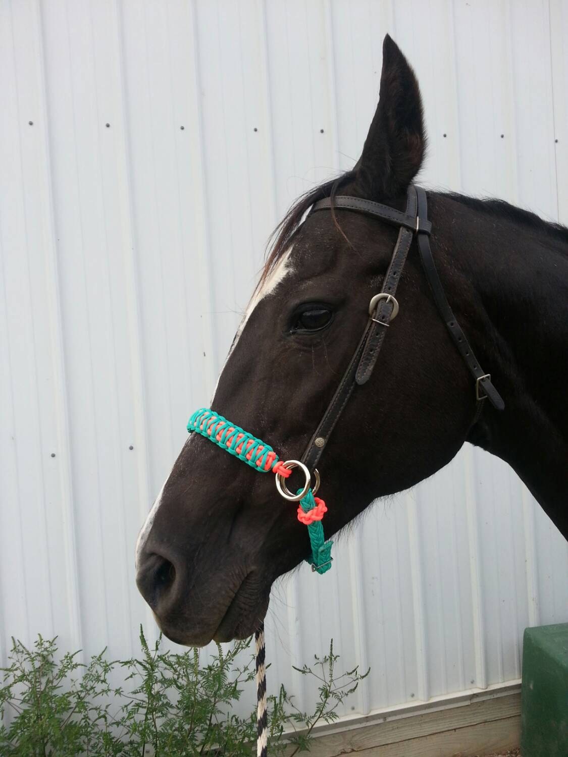 Sidepull/Hackamore/Bitless Bridle Attachment