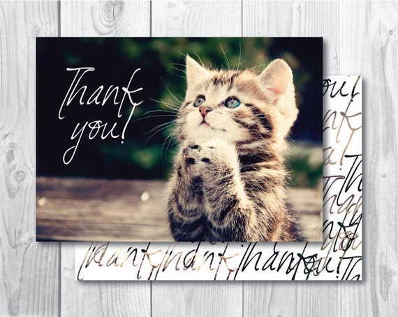 Thank you card Little cat Prayig Digital card by somethingbeauty