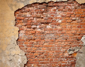 Red Brick Wall Backdrop Red Brick Wall Backdrop