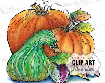 Watercolor Pumpkin Clipart | Autumn Clipart | Pumpkins Gourd Illustration | Digital Download Clip Art | Digital Scrapbooking