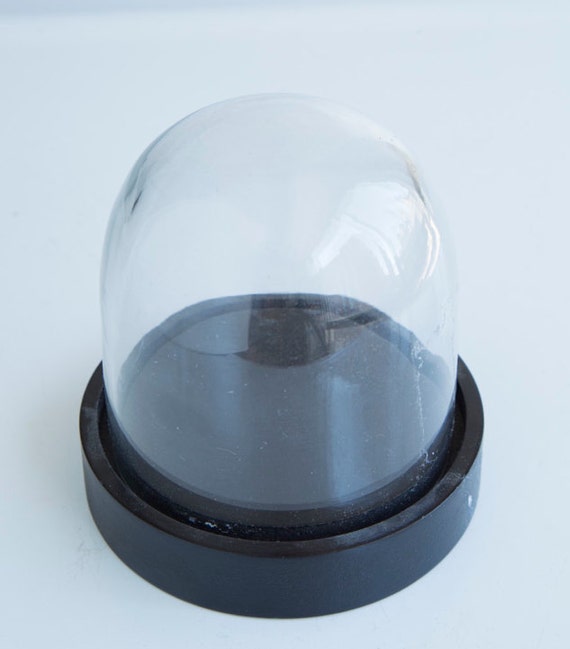 Small glass dome with wooden stand