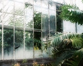 HALF PRICE SALE - Secret Garden, Lisbon -  5x7 original film fine art photograph