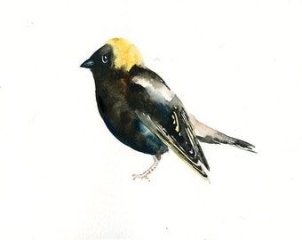 BOBOLINK Original watercolor painting 10x8inch