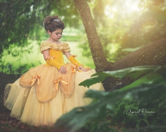 Belle dress inspired princess costume size 3t ball gown halloween costume