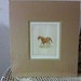 Signed/numbered Phleat Boyd Horse Etching 1982 horse equine art Oklahoma artist