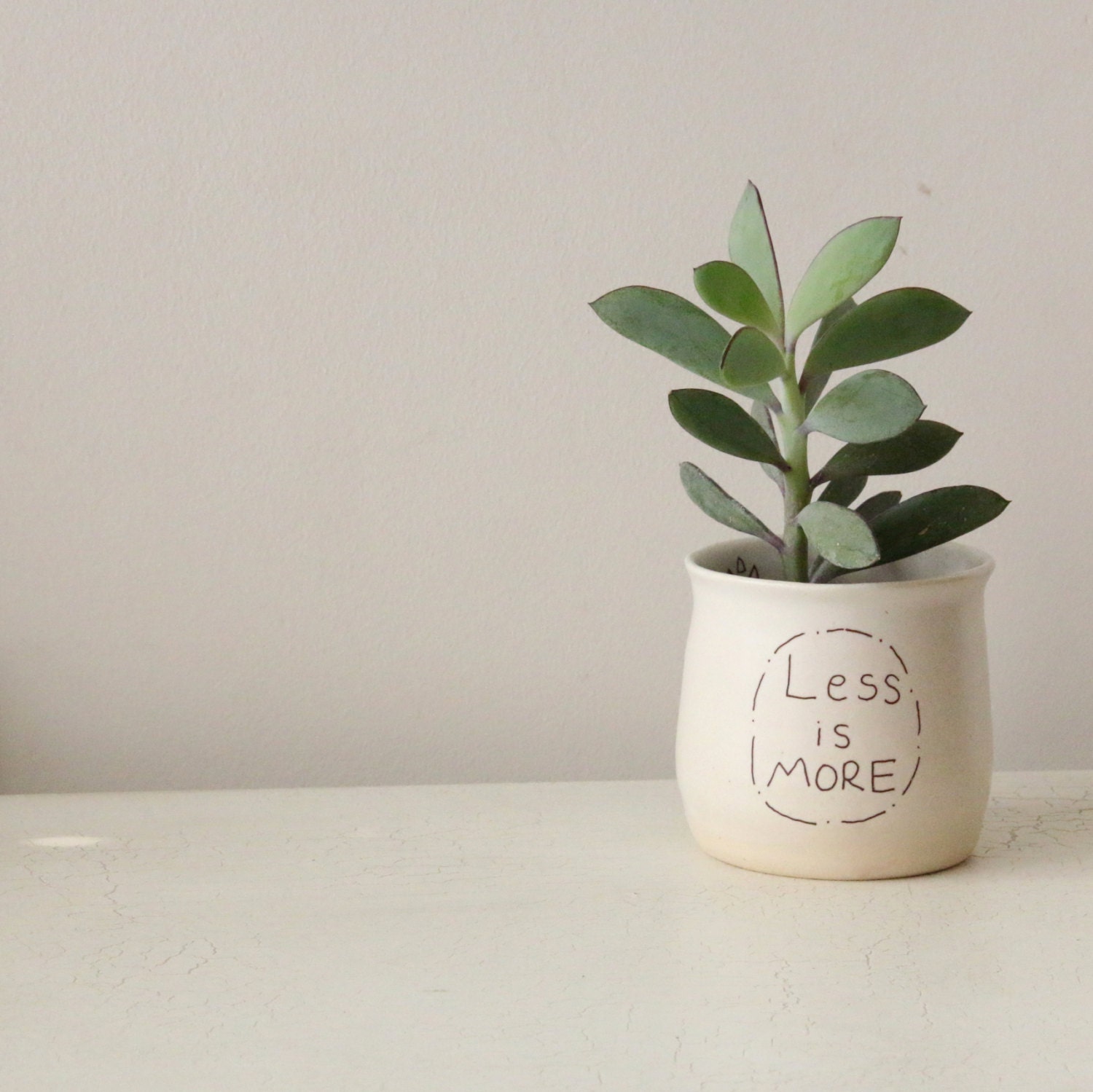 Ceramic Succulent Planter | white ceramic planter succulent planter ceramic plant pot Ceramic Succulent Planter | white ceramic planter succulent planter ceramic plant pot