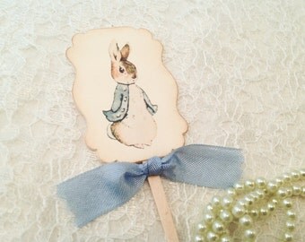 Cupcake Toppers Picks-Peter Rabbit Baby Shower Birthday Party Cupcake Topper Pick-Cake Toppers-Set of 12