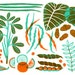10 Indian vegetables for Lucky Peach