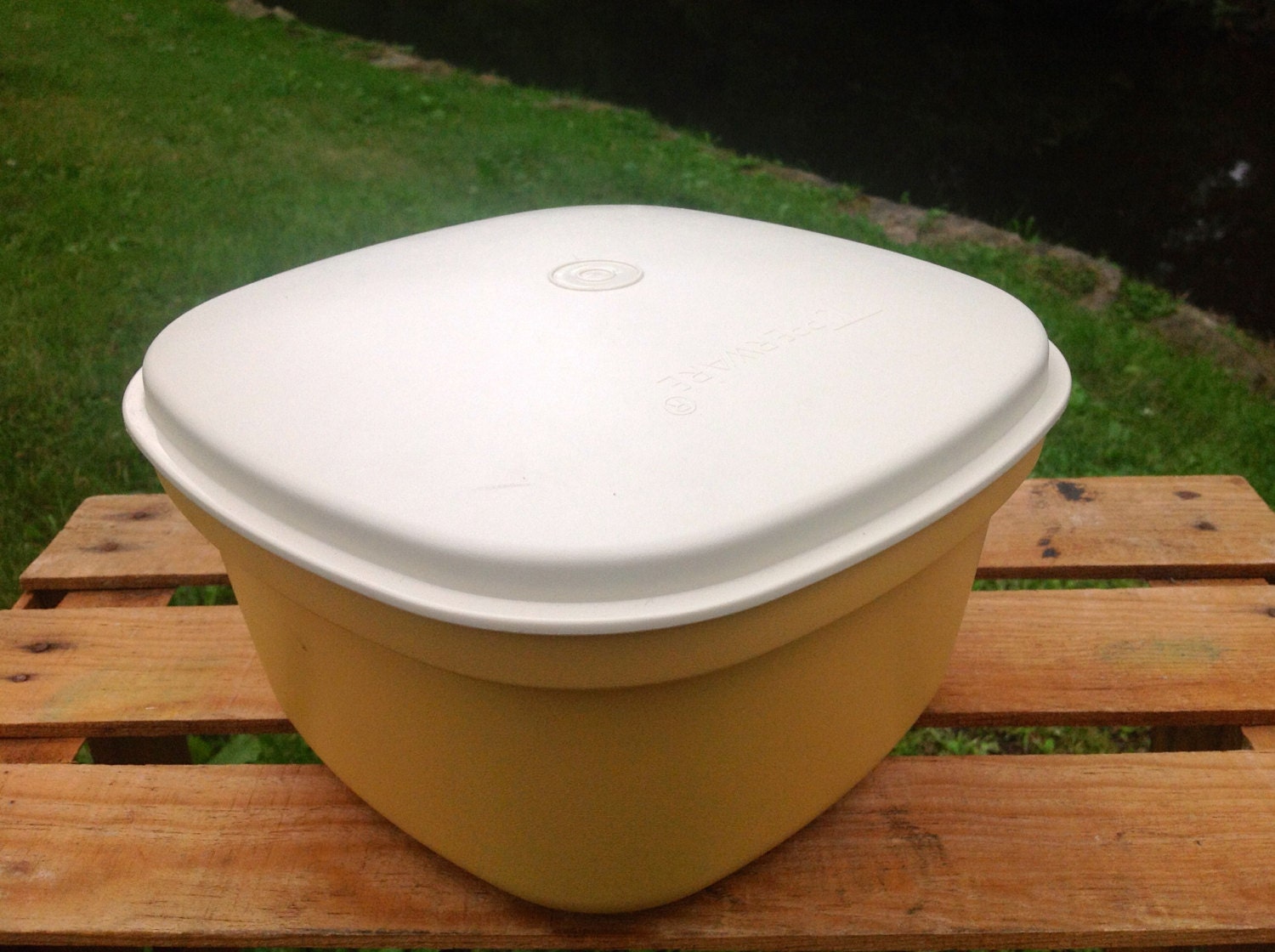 TUPPERWARE Veggie Rice Steamer