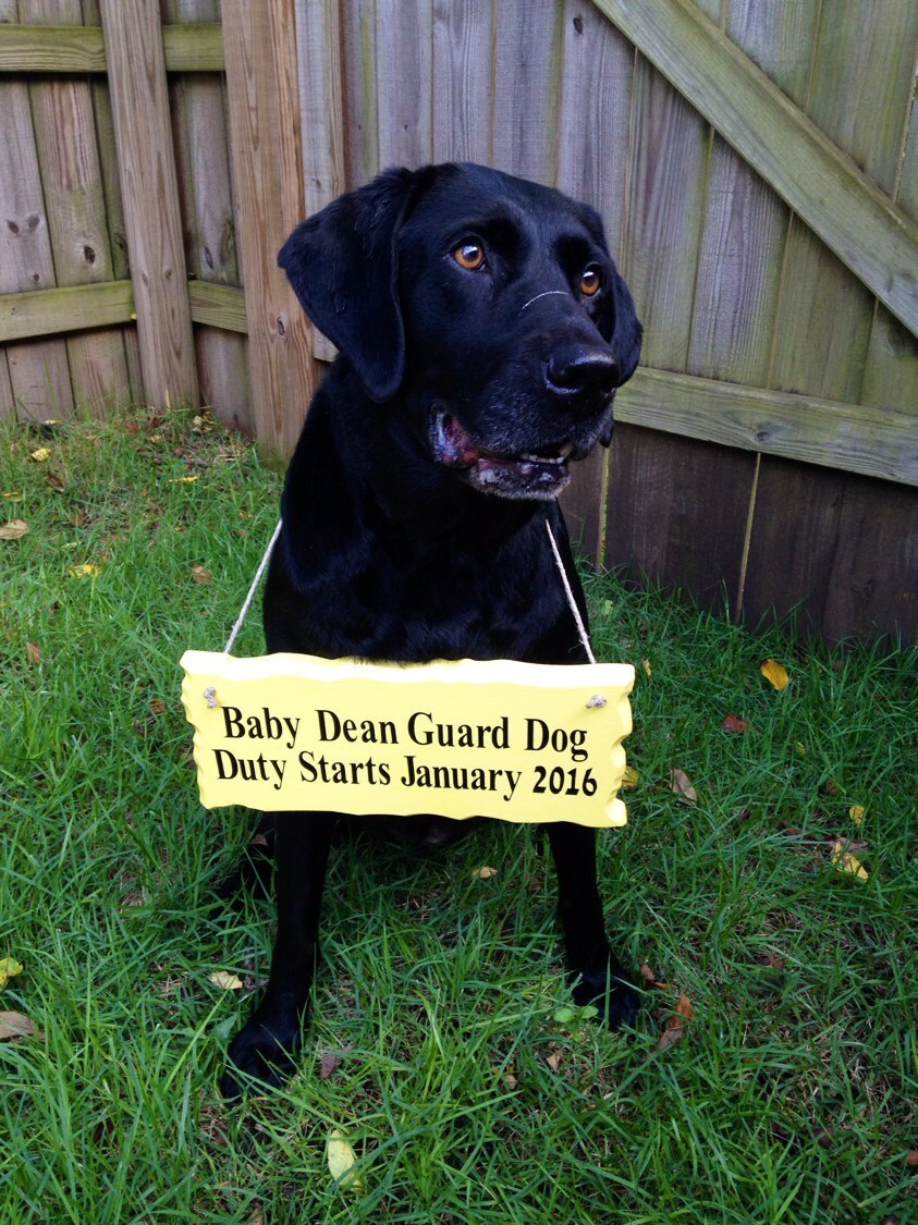 Baby Announcement Dog Sign by LeighMarieBoutique on Etsy