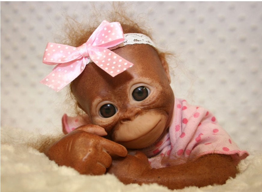 orangutan reborn