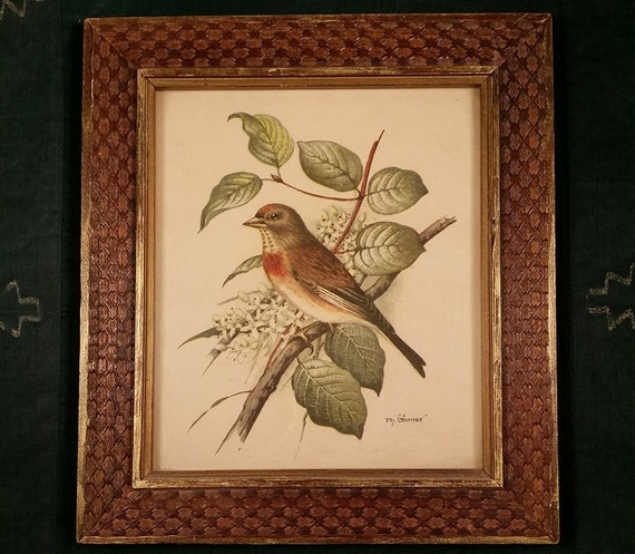 Ph. Gonner Bird Print Image Original Vintage Wood by VineStMarket