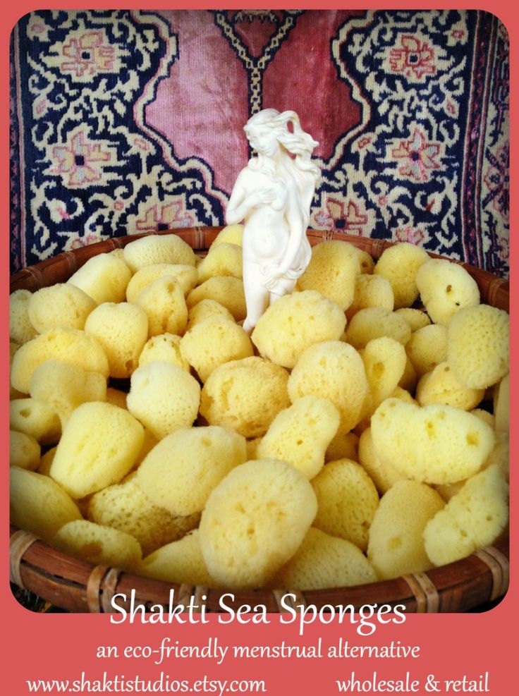 SEA SPONGES Menstrual Sponge Set of Two mdlg or Set of 3