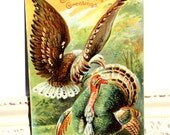 Antique Thanksgiving Postcard of a large green, red and brown turkey and a brown and white American bald eagle No. 848 1909 Antique Thanksgiving Postcard of a large green, red and brown turkey and a brown and white American bald eagle No. 848 1909