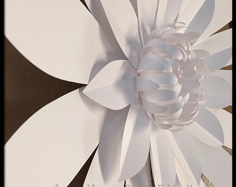 Giant Paper Flowers for Wall Decor or Wedding by FlowerGirlStacy