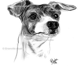 Jack Russell Dog Limited Edition Print