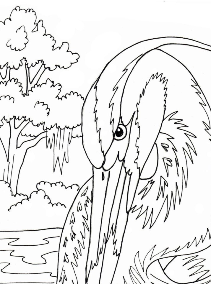 Great Blue Heron coloring page embroidery pattern digital