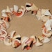 Hawaiian Pink Coral Color Curly Spiral Natural Shell Stretch Bracelet