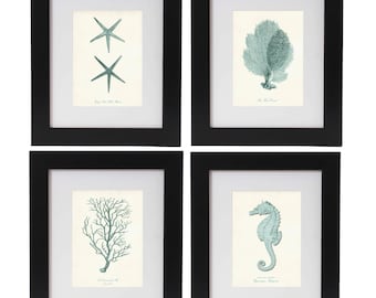Nautical Print Set of 4 in Seafoam, Nautical Wall Art, Posters, Beach Art, Coastal Art, Corals, Seahorse Print, Starfish, Coastal Decor