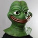 Smug Meme Frog Halloween Mask