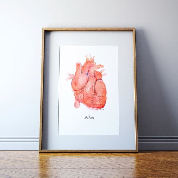 Anatomical Heart Human Heart Print Anatomically Accurate