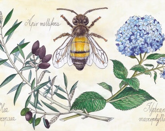 Vintage bee illustration | Etsy