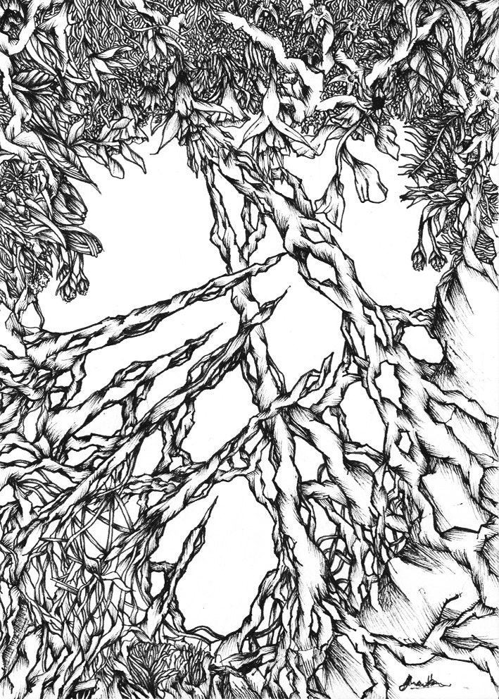 Overgrown Ink Drawing. Original art Fine art print Organic