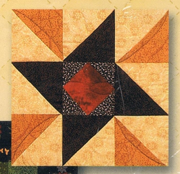 Spice Meadows INDIANA PUZZLE Month 2 12-1/2 Quilt Block