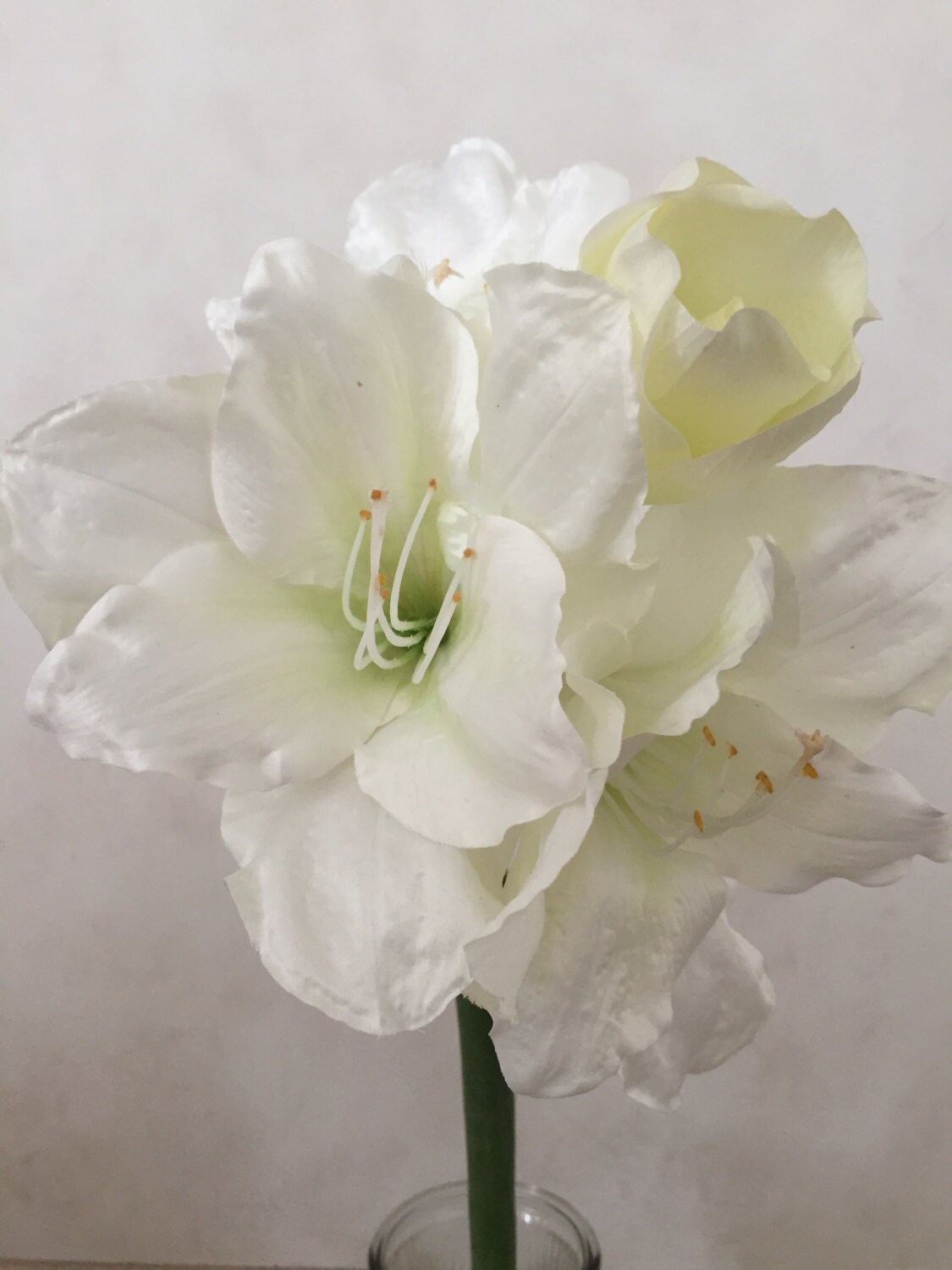 White Amaryllis Silk Flower Bush Artificial Faux Silk