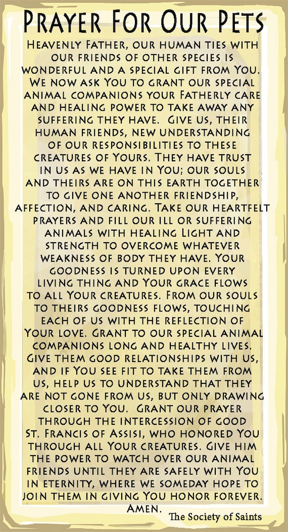 St. Francis of Assisi Prayer Card for Pets by ...