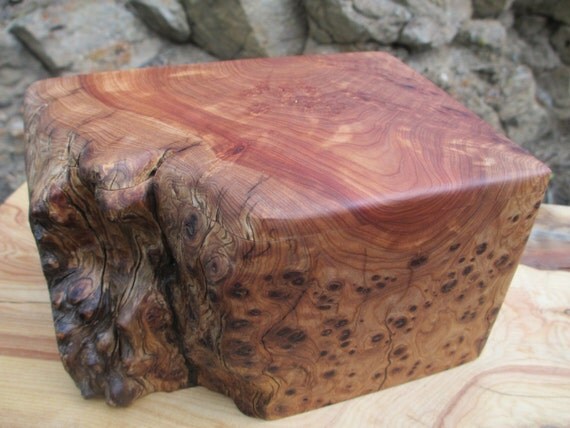 Natural Live Edge Alligator Juniper Wood Burl Pet Urn
