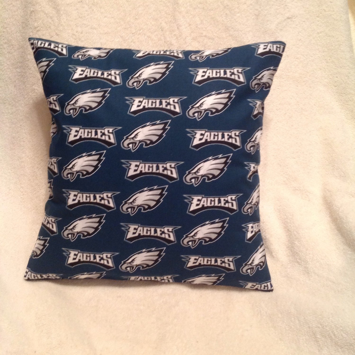 Philadelphia Eagles Pillow by QBsquared on Etsy