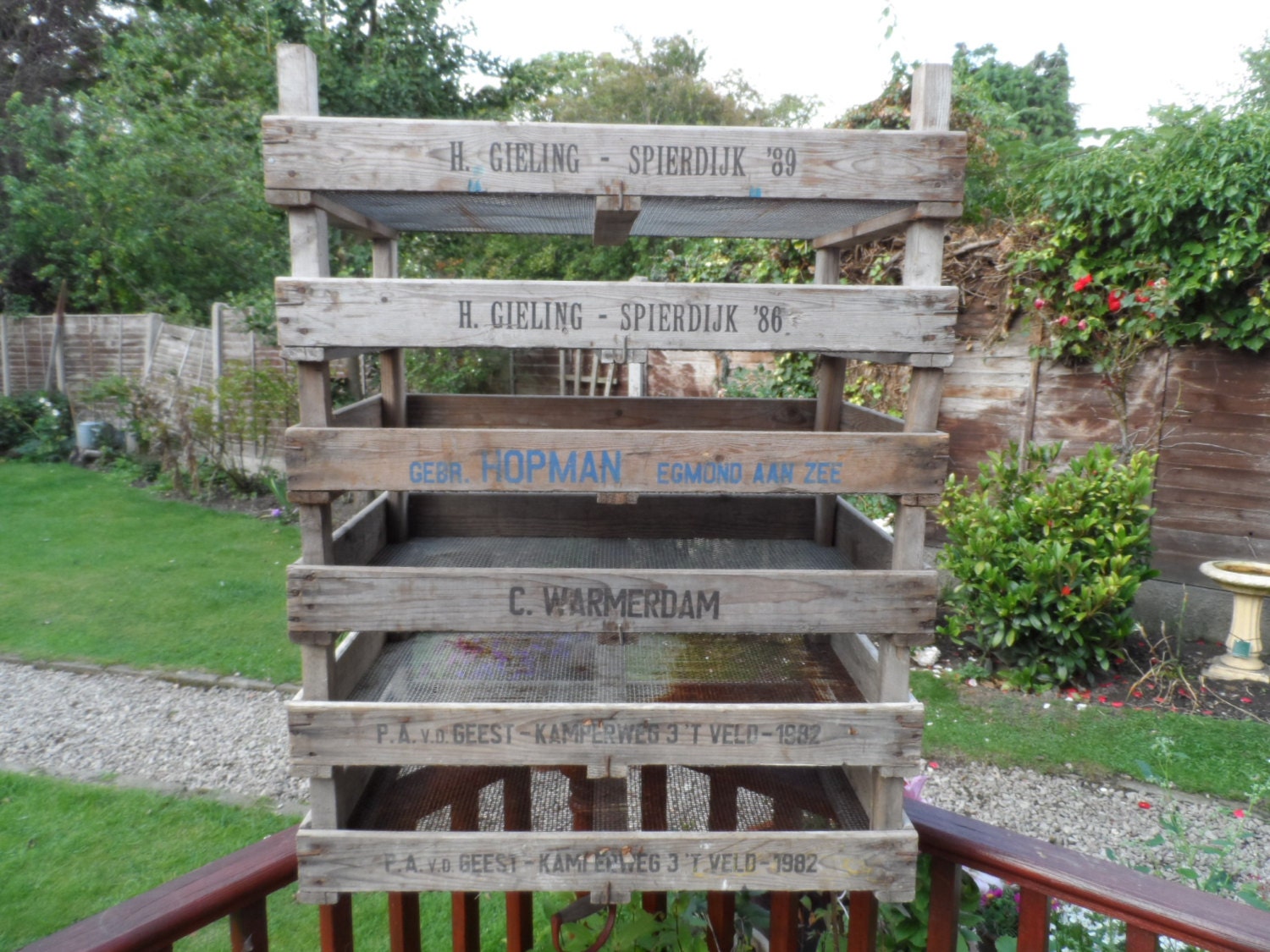 Vintage Large wooden Rustic Bulb (Crocus/Daffodil) storage & transport