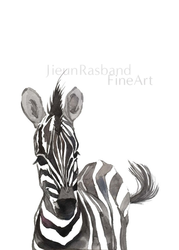 Baby Zebra Original Watercolor Fine Art Print Nursery Decor