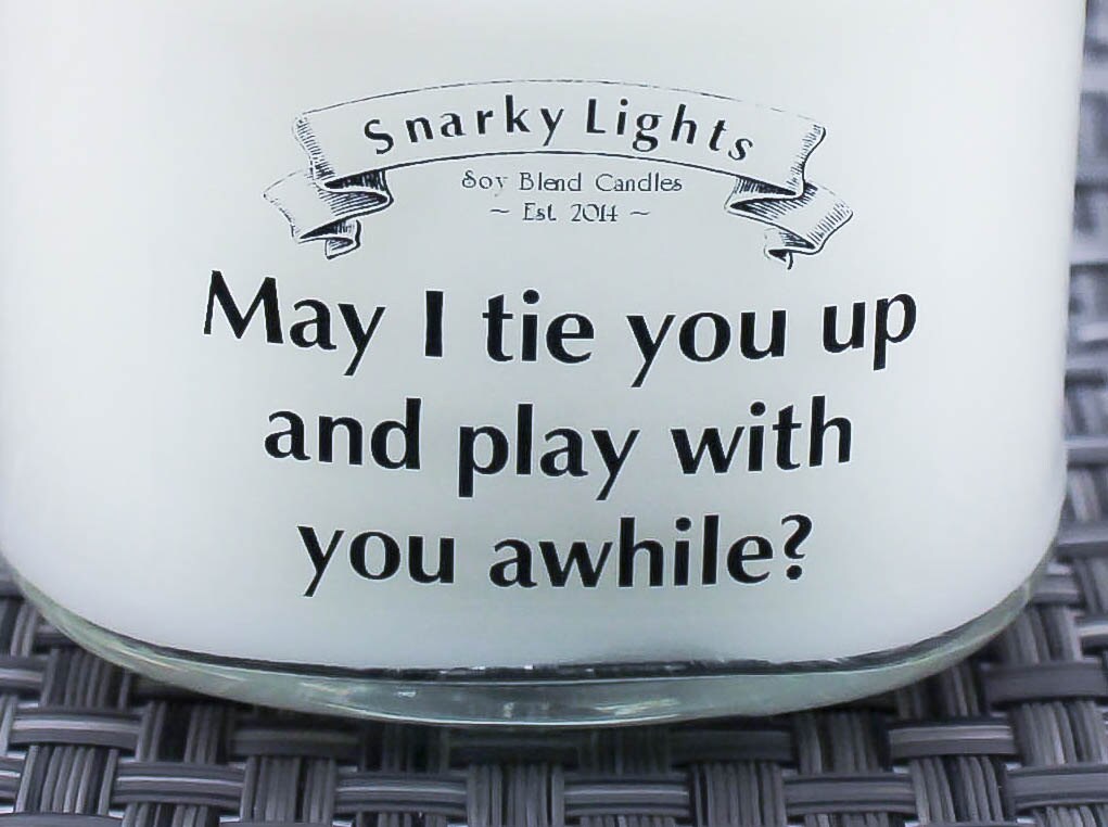 snarky-lights-may-i-tie-you-up-and-play-with-you-by-snarkylights