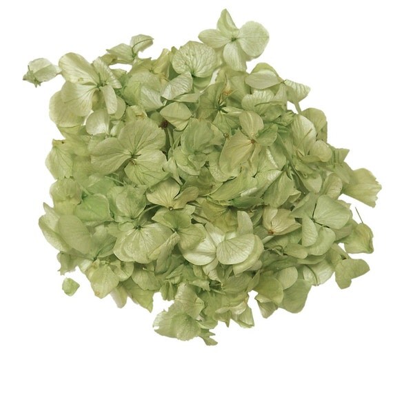 Preserved Real Lime Green Rose Petals 150g by HeartandSoulWedding