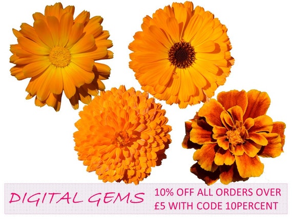 Unavailable Listing on Etsy