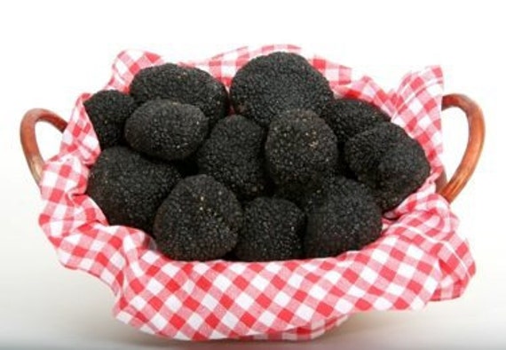 Fresh Truffles