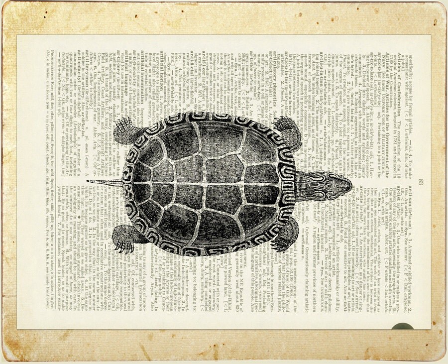 Turtle dictionary page print