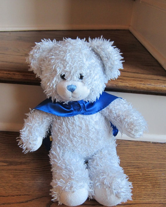 teddy bear with cape