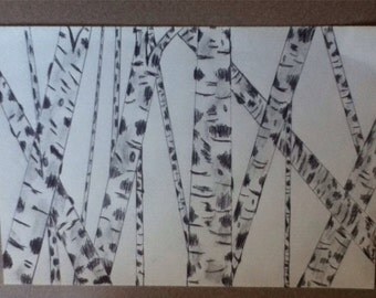 Birch tree sketches, paintings, birch trees, nature, hand drawn, sketches, trees,