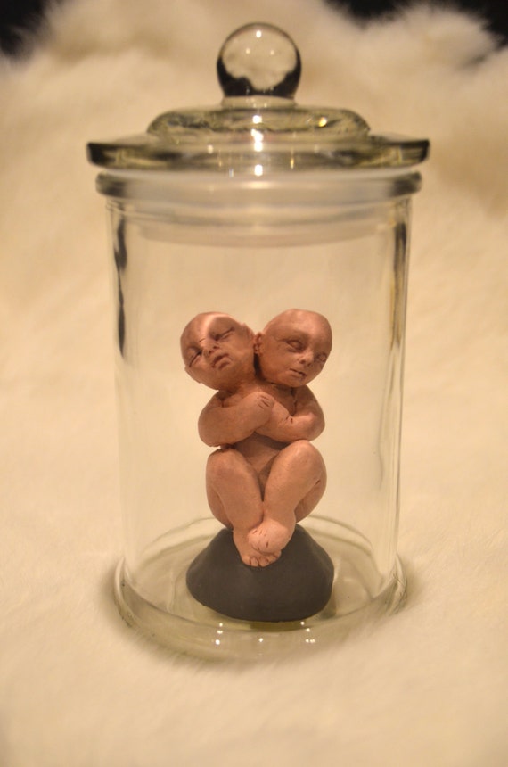 2 Headed Baby Fetus in glass specimen jar by TheSleepingSirens