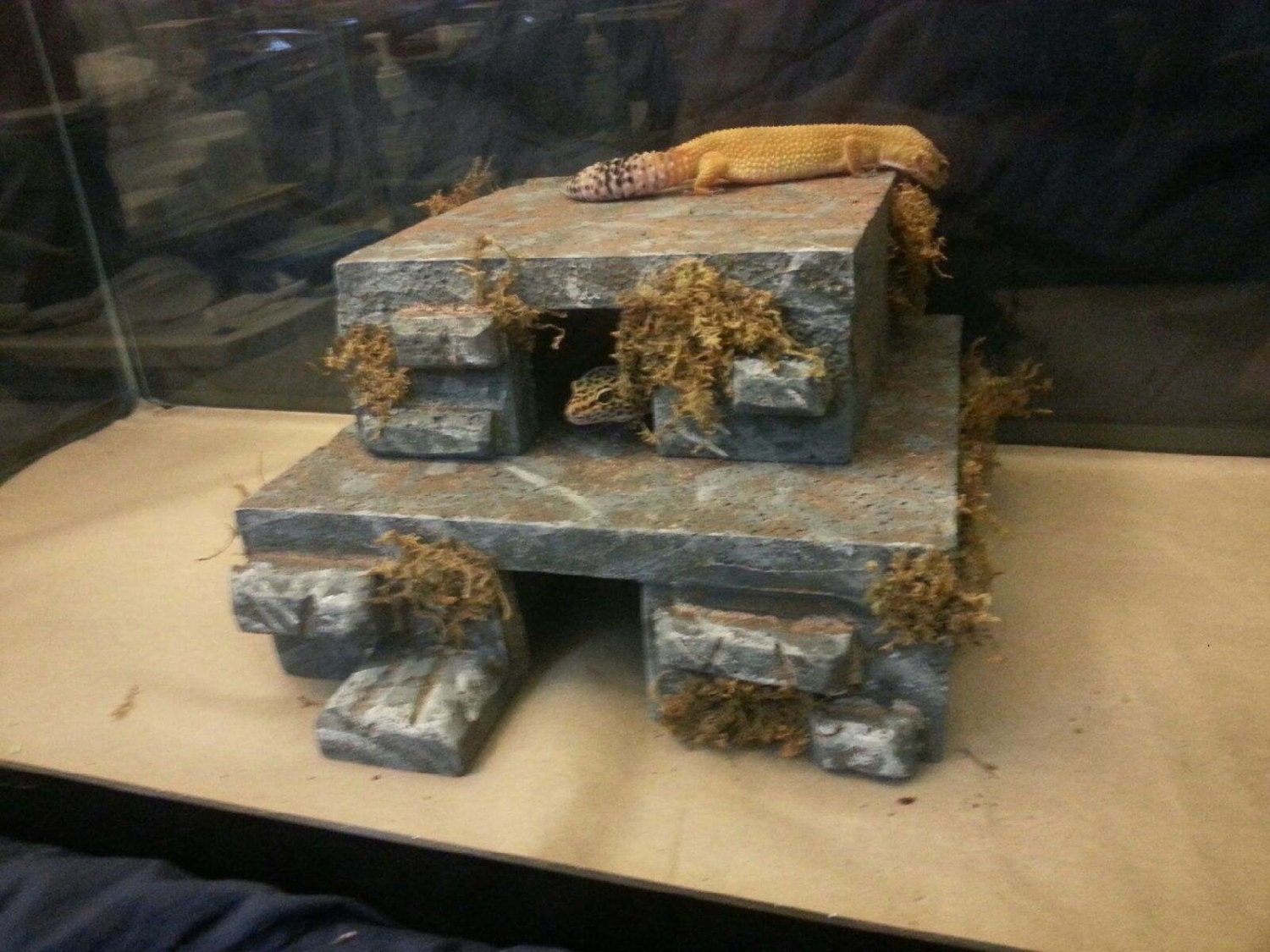 herphomes lizard hide reptile cave basking hide by Herphomes