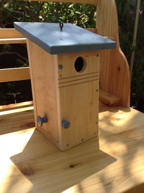 Western bluebird specific birdhouse with side by SliverMeTimbers