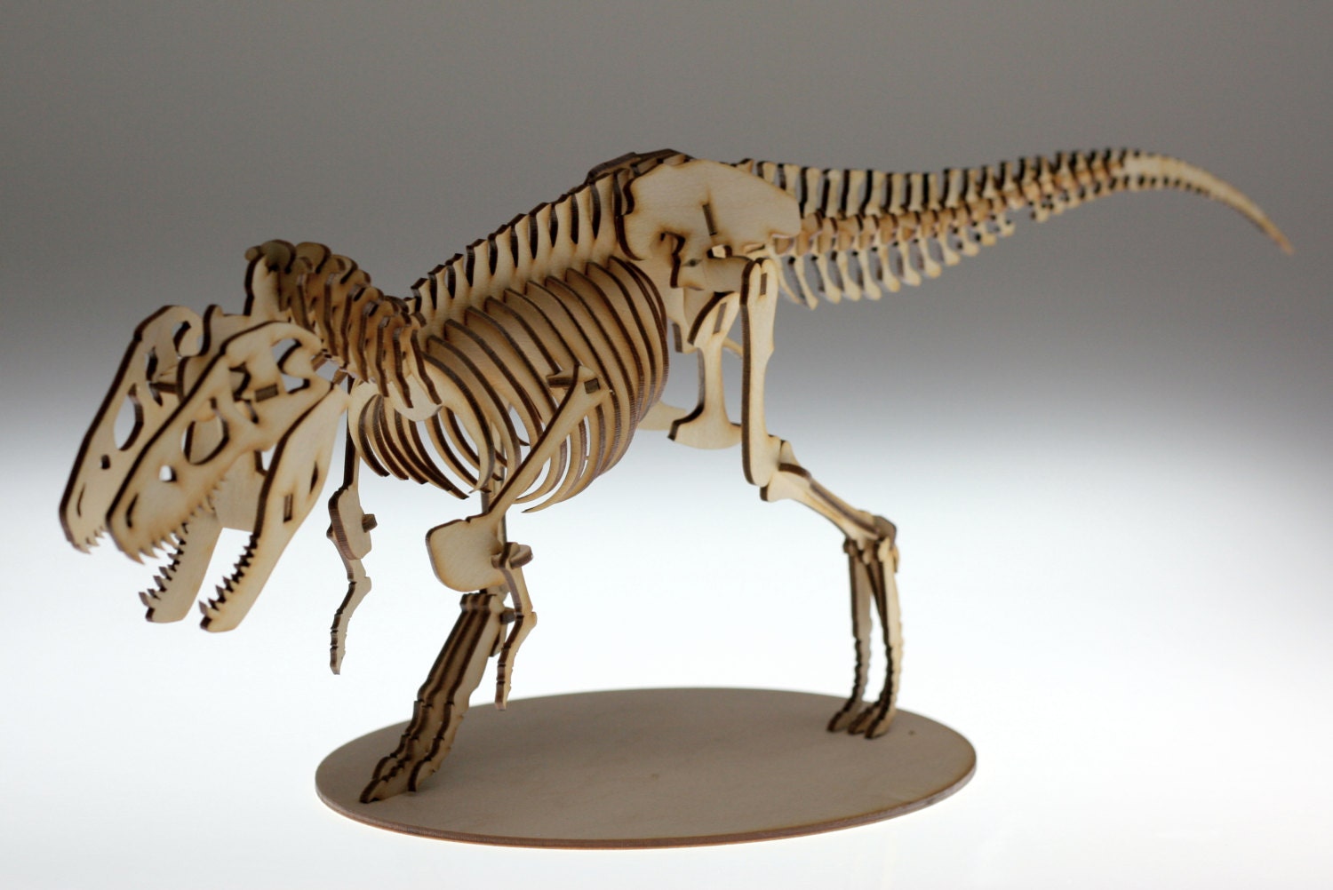 Tyrannosaurus rex TRex Anatomically Correct 3D by landofpuzzles