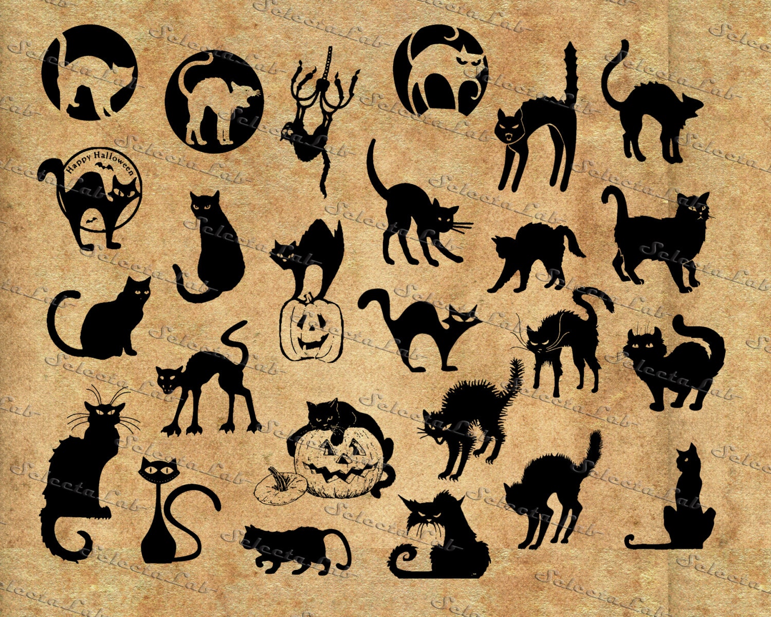 Download Digital SVG PNG halloween cat, cats, wicht, pumpkin ...