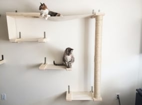 Cat Sky Track - Cat Hammock Shelves
