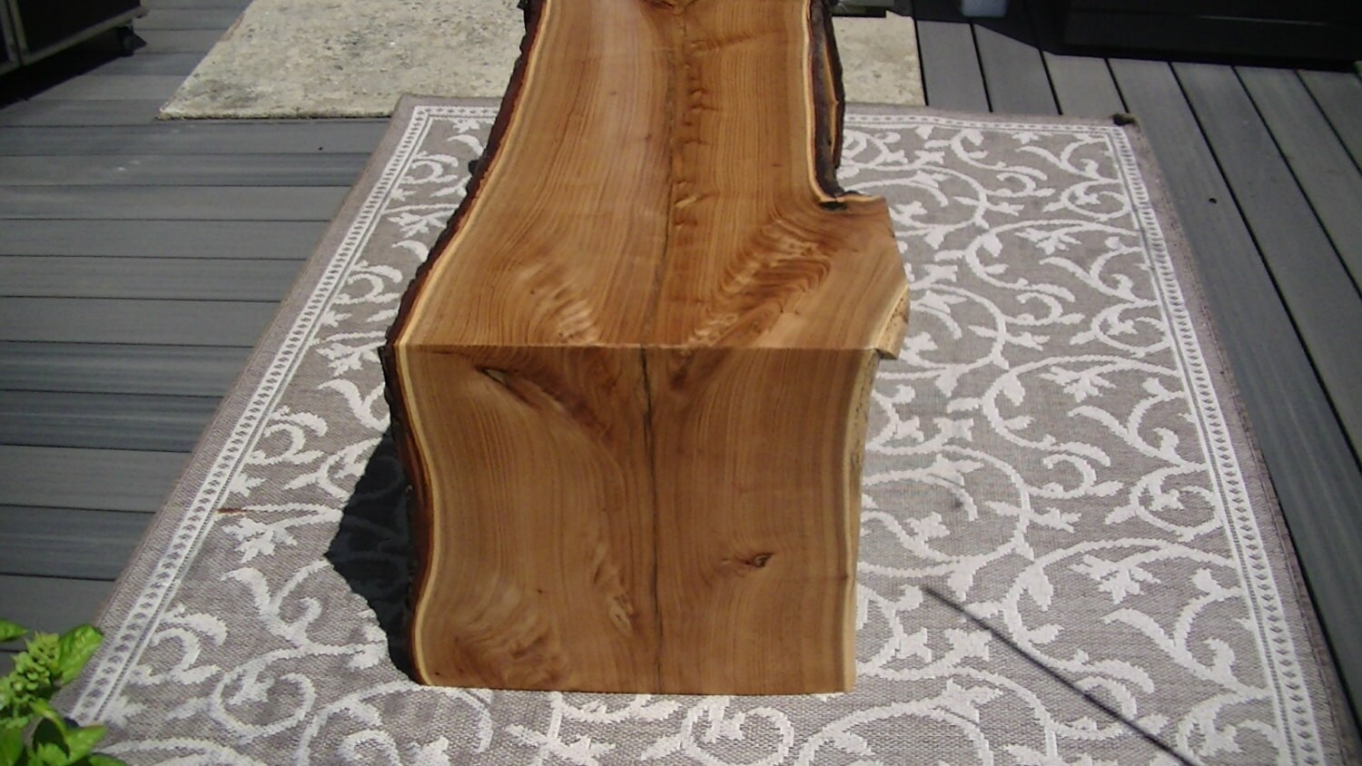 LIVE EDGE MULBERRY wood slab coffee table